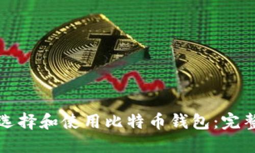 如何选择和使用比特币钱包：完整指南