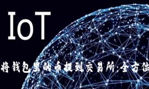 如何将钱包里的币提到交易所：全方位指南