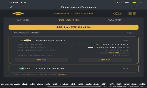 Tokenim在EOS映射中的应用：提升区块链资产管理效率的最佳实践