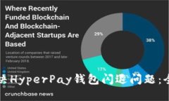 如何解决HyperPay钱包闪退问题：全面指南