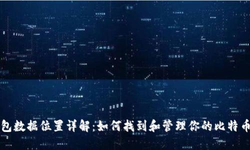 比特币钱包数据位置详解：如何找到和管理你的比特币钱包文件