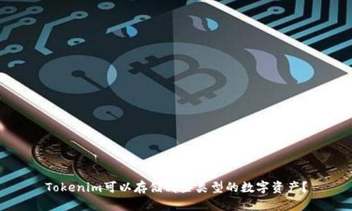 Tokenim可以存储哪些类型的数字资产？
