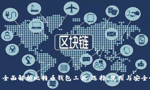 : 全面解析比特币钱包工具：选择、使用与安全性