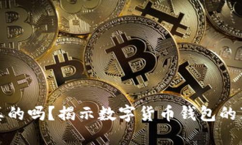 波宝钱包是真的吗？揭示数字货币钱包的真相与安全性