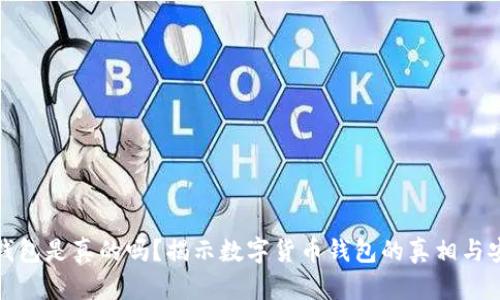 波宝钱包是真的吗？揭示数字货币钱包的真相与安全性