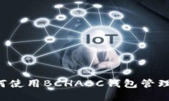 完整指南：如何使用BCHABC钱包管理Tokenim资产