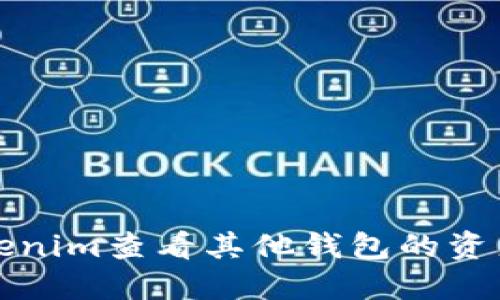 如何使用Tokenim查看其他钱包的资产和交易记录