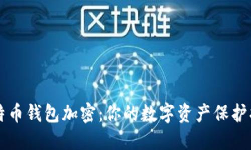 比特币钱包加密：你的数字资产保护指南