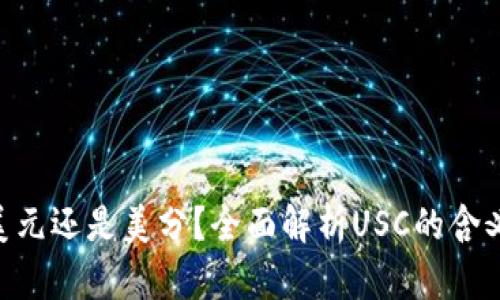USC是美元还是美分？全面解析USC的含义与价值
