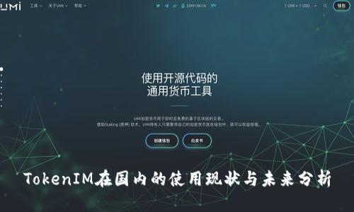 TokenIM在国内的使用现状与未来分析