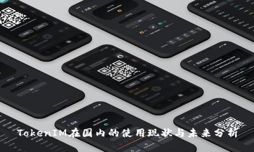 TokenIM在国内的使用现状与未来分析