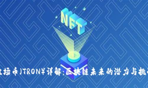 波场币（TRON）详解：区块链未来的潜力与挑战