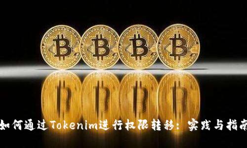 如何通过Tokenim进行权限转移: 实践与指南