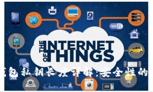 以太坊钱包私钥长度详解：安全性的关键因素