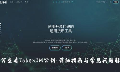如何查看TokenIM公钥：详细指南与常见问题解答