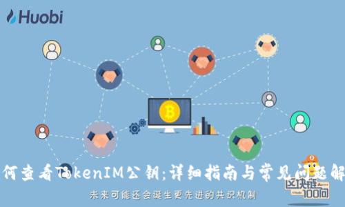 如何查看TokenIM公钥：详细指南与常见问题解答