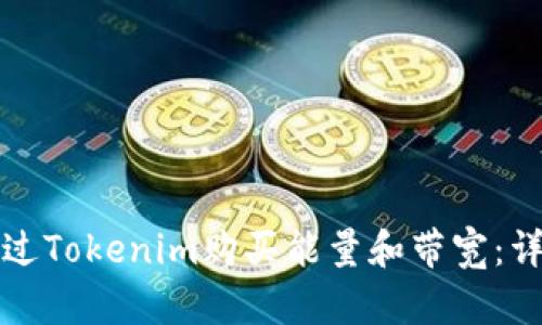 如何通过Tokenim购买能量和带宽：详细指南