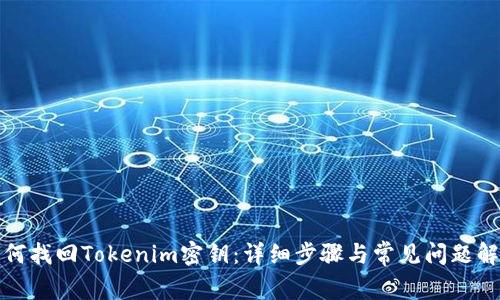 如何找回Tokenim密钥：详细步骤与常见问题解答