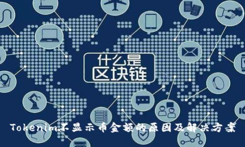 Tokenim不显示币金额的原因及解决方案