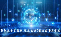 Tokenim钱包充币不到账，该怎么办？解决方案与常
