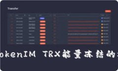 深入探讨TokenIM TRX能量冻结的机制与应用