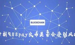 深入分析988pay出币是否会受到风控影响