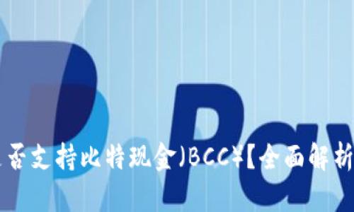 以太钱包是否支持比特现金（BCC）？全面解析与使用指南