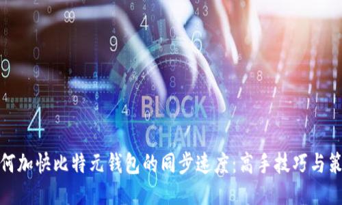 如何加快比特元钱包的同步速度：高手技巧与策略