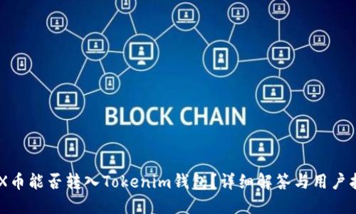 BCX币能否转入Tokenim钱包？详细解答与用户指南
