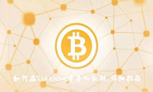 如何在Tokenim中导入私钥：详细指南