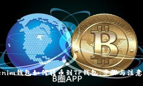 Tokenim钱包如何转币到TP钱包：步骤与注意事项