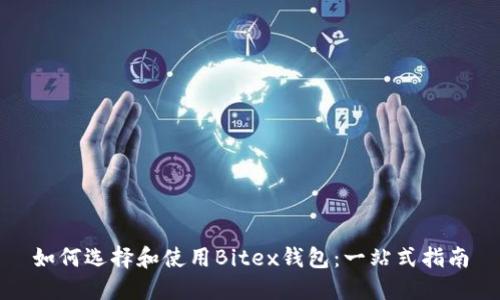 如何选择和使用Bitex钱包：一站式指南