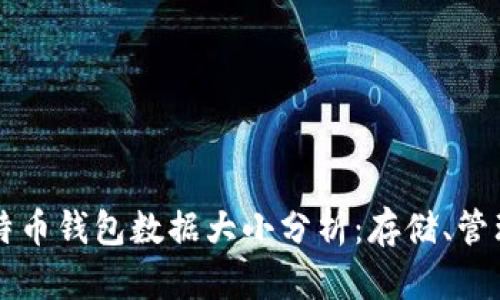 比特币钱包数据大小分析：存储、管理与