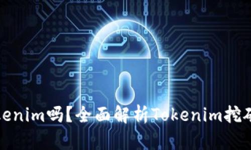 挖矿直接用Tokenim吗？全面解析Tokenim挖矿的优势与挑战
