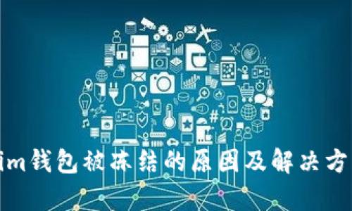 Tokenim钱包被冻结的原因及解决方案解析
