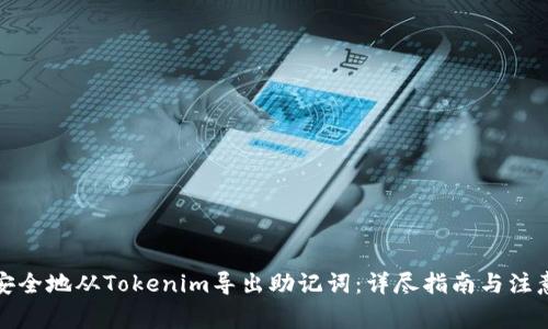 如何安全地从Tokenim导出助记词：详尽指南与注意事项