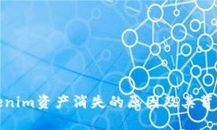解析Tokenim资产消失的原因及其背后的风险