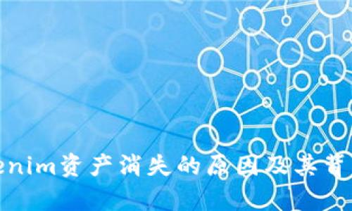 解析Tokenim资产消失的原因及其背后的风险