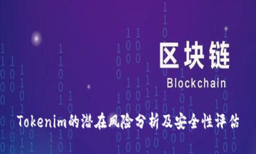 Tokenim的潜在风险分析及安全性评估
