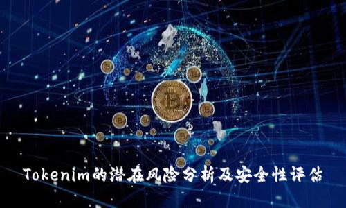 Tokenim的潜在风险分析及安全性评估
