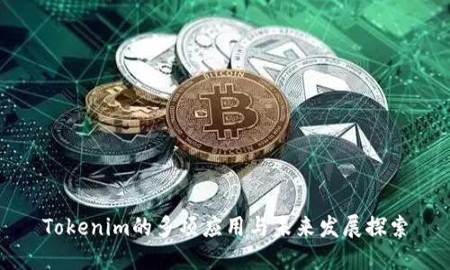 Tokenim的多项应用与未来发展探索