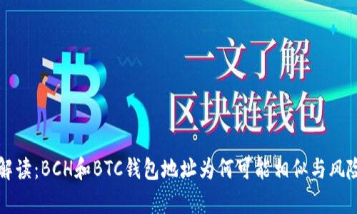 深入解读：BCH和BTC钱包地址为何可能相似与风险分析
