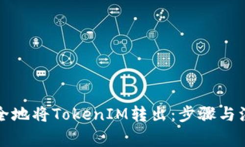 如何安全地将TokenIM转出：步骤与注意事项