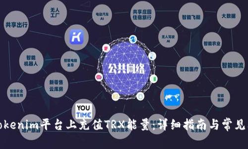 如何在Tokenim平台上充值TRX能量：详细指南与常见问题解答