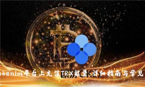 如何在Tokenim平台上充值TRX能量：详细指南与常见问题解答