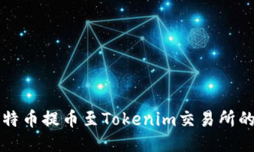 如何将比特币提币至Tokenim交易所的详细指南