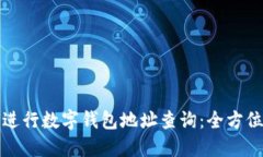 如何进行数字钱包地址查询：全方位指南