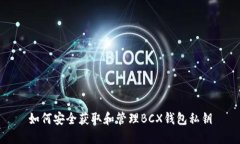 如何安全获取和管理BCX钱包私钥