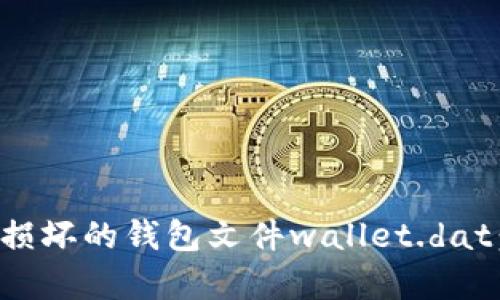 如何修复损坏的钱包文件wallet.dat：实用指南