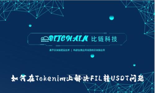 如何在Tokenim上解决FIL转USDT问题